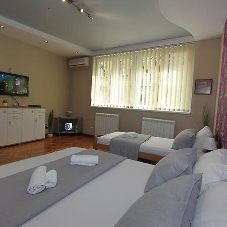 Sneki Apartment Βελιγράδι Εξωτερικό φωτογραφία